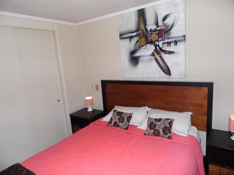 Santiago Apartamentos Centro Esterno foto